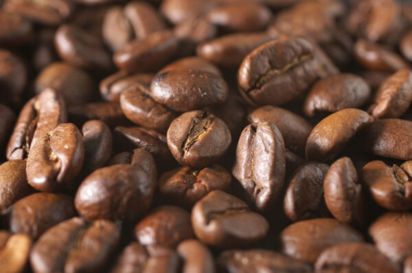GRANO COFFEE MTB MOOD