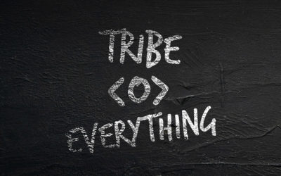 Tribe Everything
